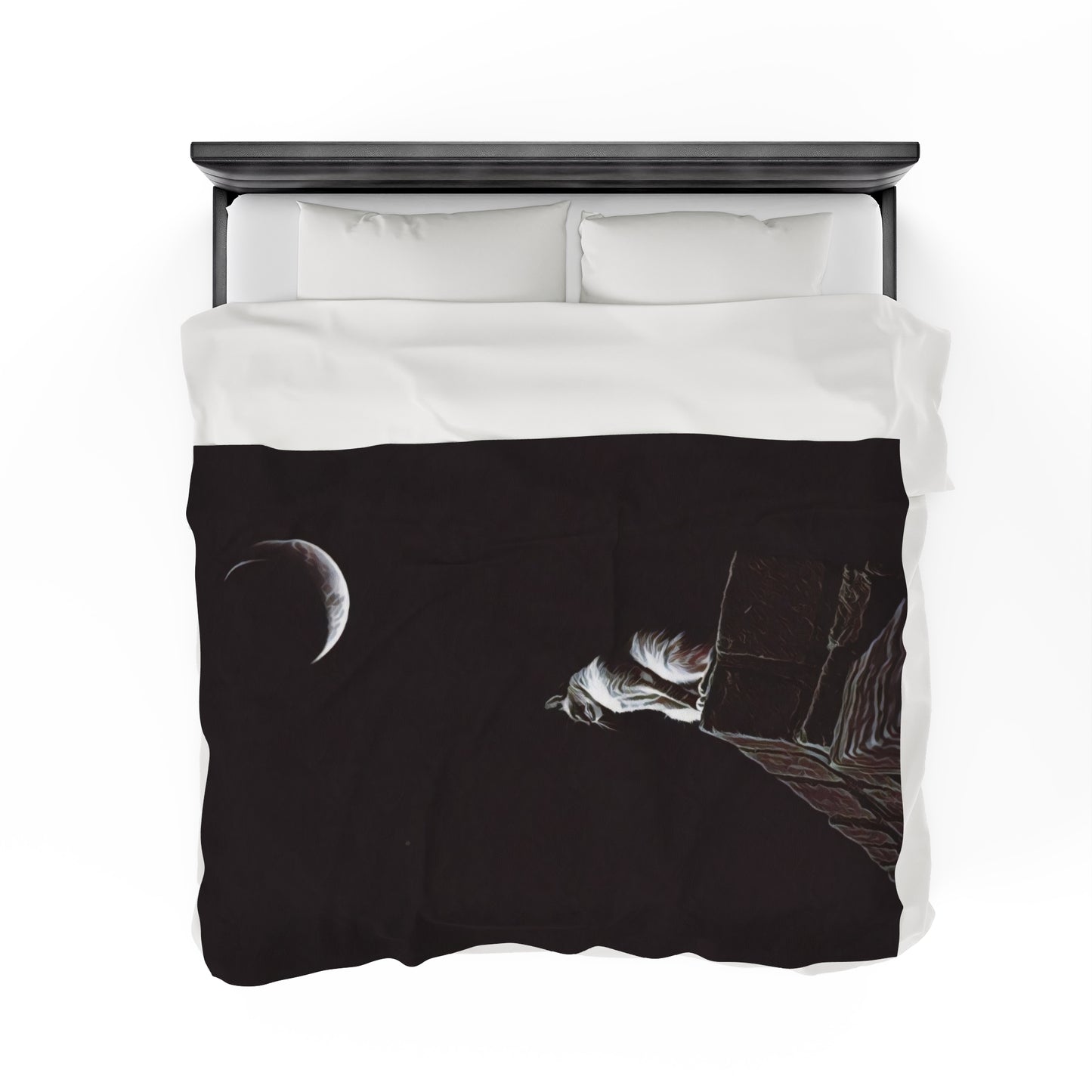 Velveteen Plush Blanket - Stargazer's Perch Art Print