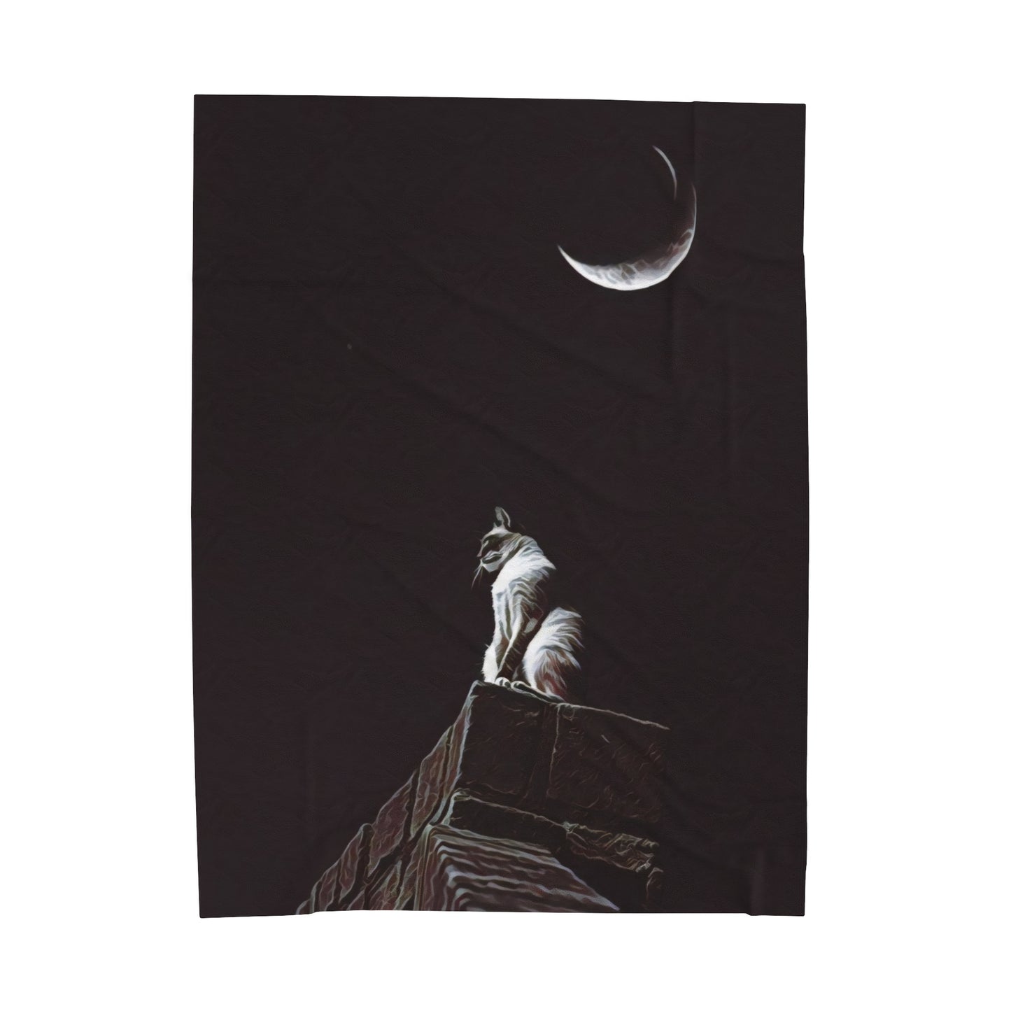 Velveteen Plush Blanket - Stargazer's Perch Art Print