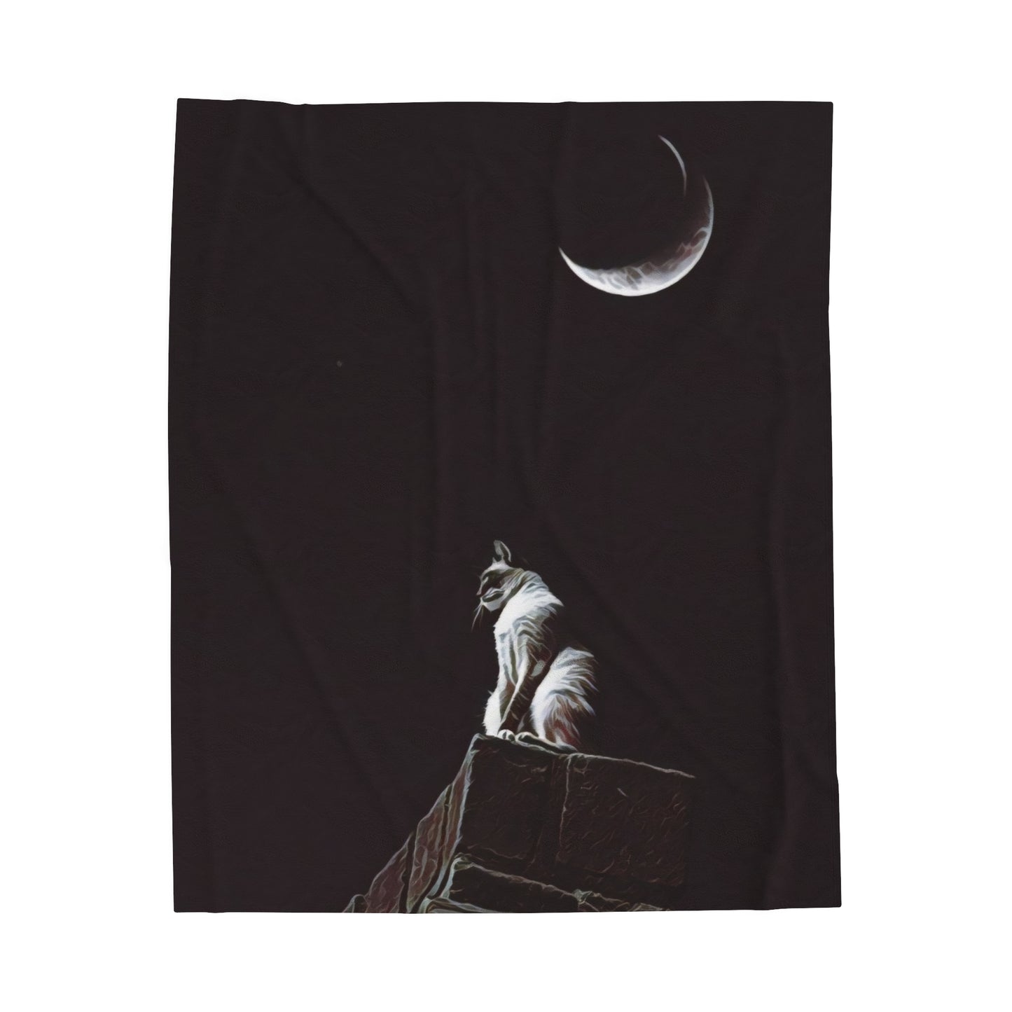 Velveteen Plush Blanket - Stargazer's Perch Art Print